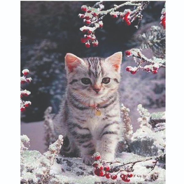 Timanttimaalaus kissanpentu, Kuvan koko noin 40 x 30 cm, sisältää helmet, alustan ja ottimen