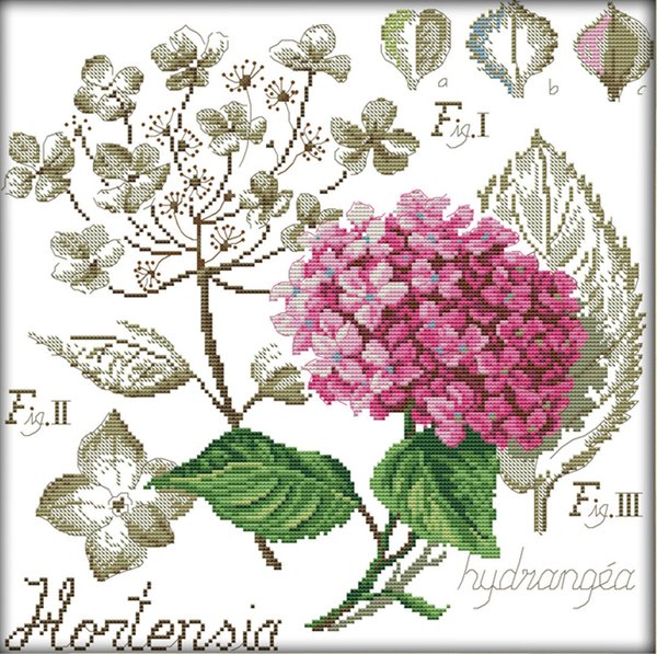 Ristipistopakkaus, hortensia 49 x 49 cm