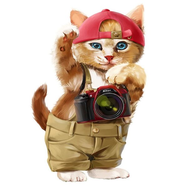 Timanttimaalaus kamera kissa, Kuvan koko noin 30 x 40 cm, sisältää helmet, alustan ja ottimen